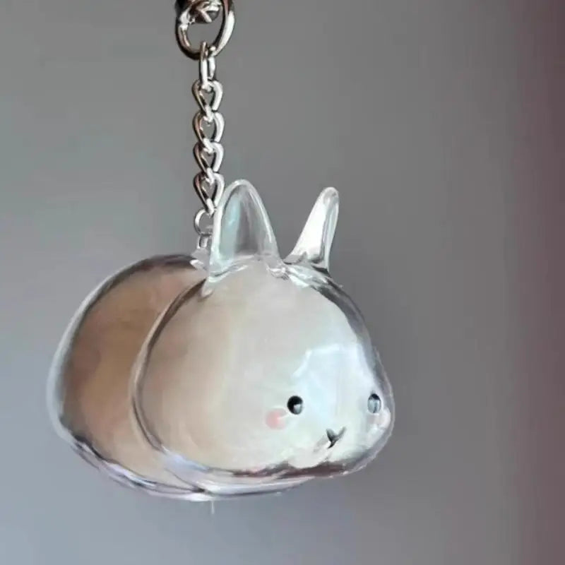 Pet Hair Memorial Transparent Storage Box Keychain | Cute Animal Rabbit Fur Organizer Bag Pendant