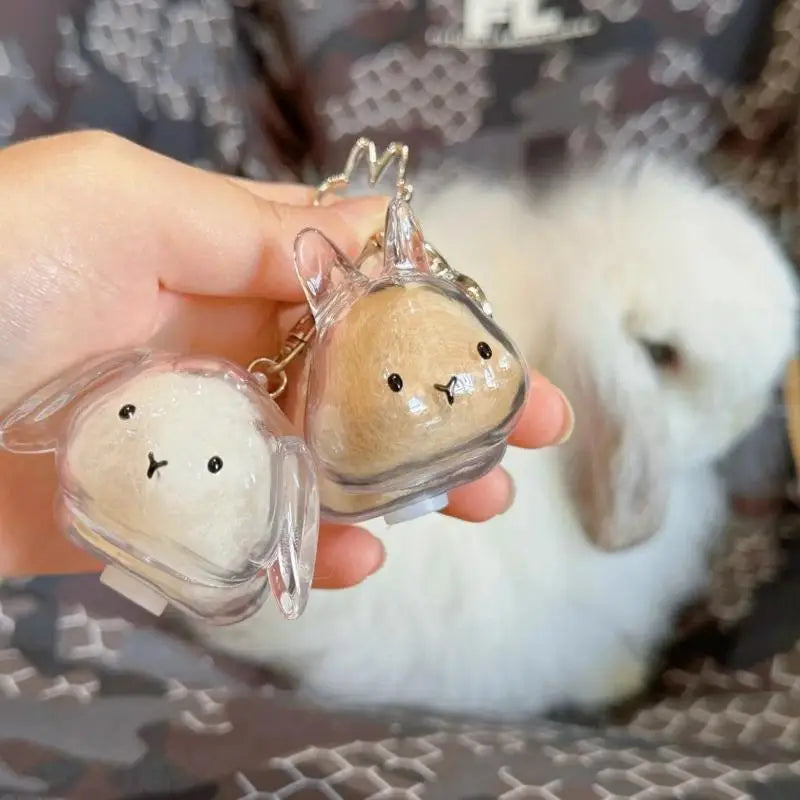 Pet Hair Memorial Transparent Storage Box Keychain | Cute Animal Rabbit Fur Organizer Bag Pendant