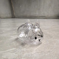 Pet Hair Memorial Transparent Storage Box Keychain | Cute Animal Rabbit Fur Organizer Bag Pendant